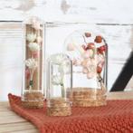 Mini Dome Ø2 h.4 cm set 12  stolpje met kurk voor geschenken, Ophalen of Verzenden, Nieuw