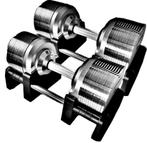 LION TITANSILVER V5 Verstelbare Dumbbells 41,5 kilogram, Sport en Fitness, Fitnessmaterialen, Ophalen of Verzenden, Nieuw, Benen