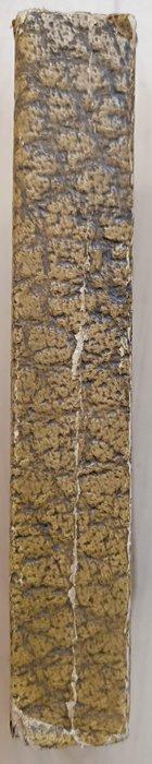 Max Brod - Tycho Brahes Weg zu Gott - 1916, Antiek en Kunst, Antiek | Boeken en Bijbels