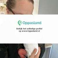 Eva zoekt een oppas in Appelscha., Vacatures, Vacatures | Juridisch en Fiscaal