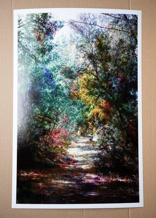 Viet Ha Tran - Lonely Road, Antiek en Kunst, Kunst | Designobjecten