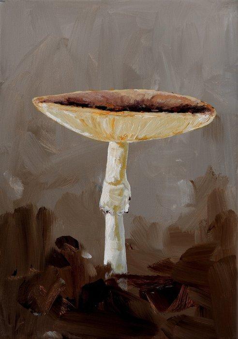 Matthieu van Riel - Mushroom, Antiek en Kunst, Kunst | Schilderijen | Modern