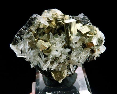 Pyriet op kwarts & sphaleriet Huanzala mijn, Huallanca,, Verzamelen, Mineralen en Fossielen