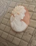 Cassis Rufa Conchiglia - Cameo - Handgeschreven Oktober 1955, Nieuw