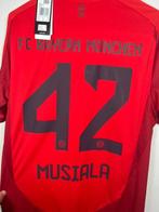 FC Bayern München - Duitse voetbal competitie - Jamal, Nieuw