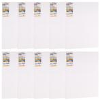 Benson Schilderdoeken - Set van 10 - Dubbel Gesso - 80x10..., Hobby en Vrije tijd, Ophalen of Verzenden, Nieuw