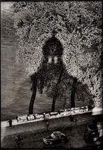 Willy Ronis (1910–2009) - Ombre de lInstitut, Paris, 1956, Antiek en Kunst