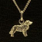 Gouden Leonberger ketting hanger - klein, Verzenden, Nieuw