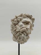 sculptuur, Testa di Laocoonte - 28 cm - marmerstof, Antiek en Kunst, Curiosa en Brocante