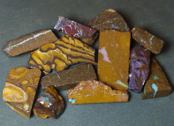 265 ct - Een partij van 12 Australische Boulder-opalen -, Verzamelen, Mineralen en Fossielen