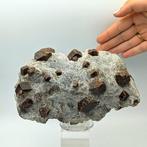 Veel almandijn robijnen, donkerrood, Alpini. Kristallen op