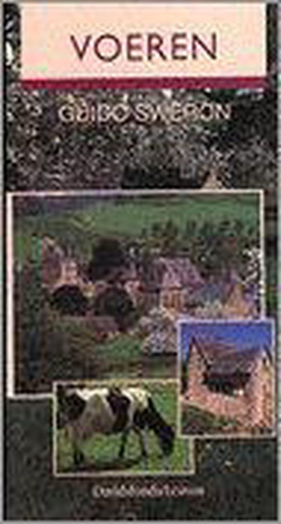Voeren 9789058260192 G. Sweron, Boeken, Reisgidsen, Gelezen, Verzenden
