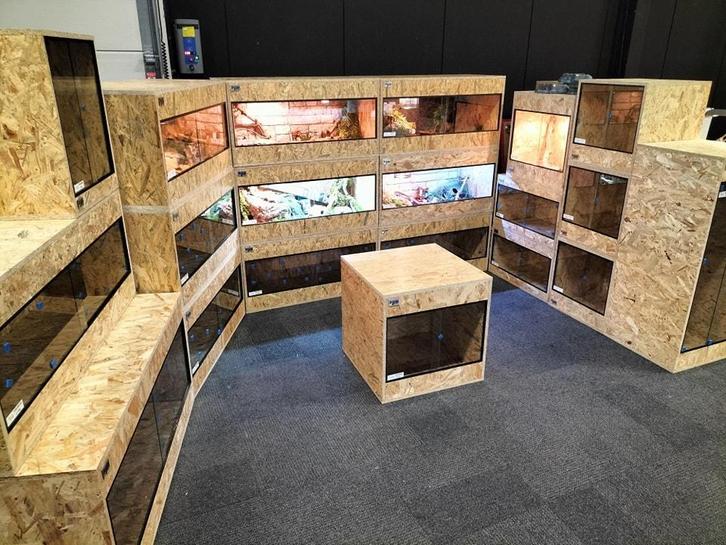 OSB3 terrariums Terrarium Tilburg  ook maatwerk, Dieren en Toebehoren, Reptielen en Amfibieën | Toebehoren, Terrarium of Paludarium