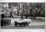 Jaguar D-Type #6/Mike Hawthorn Winner/Mercedes-Benz 300 SLR