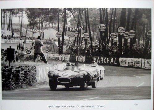 Jaguar D-Type #6/Mike Hawthorn Winner/Mercedes-Benz 300 SLR, Antiek en Kunst, Kunst | Tekeningen en Foto's