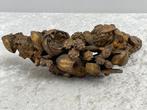 Architectonisch ornament - 1850-1900 - Ornament bloemen op