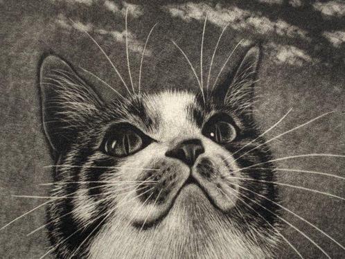 Iwashigumo  (Mackerel Sky) - Signed and numbered by, Antiek en Kunst, Antiek | Overige Antiek