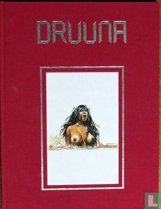 Druuna - 1991, Boeken, Stripboeken, Zo goed als nieuw, Eén stripboek, Verzenden