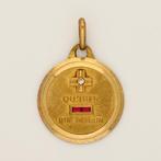 Hanger - 18 karaat Geel goud Diamant (Natuurlijk) - Robijn