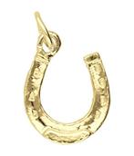 Gouden Hoefijzer geluk ketting hanger, Verzenden, Nieuw