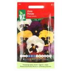 Bloemzaden Viooltjes | VT (Gemengd), Tuin en Terras, Verzenden