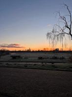 Te huur: Huis Witte van Haemstedelaan in Haarlem, Haarlem, Noord-Holland