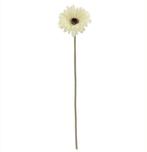 Gerbera 53 cm Creme Zijden bloemen / st, Huis en Inrichting, Woonaccessoires | Kunstplanten en Kunstbloemen, Ophalen of Verzenden