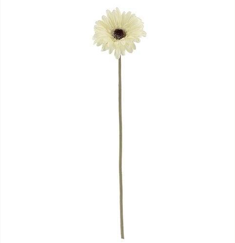 Gerbera 53 cm Creme Zijden bloemen / st, Huis en Inrichting, Woonaccessoires | Kunstplanten en Kunstbloemen, Nieuw, Ophalen of Verzenden