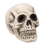 Halloween Schedel 31cm, Verzenden, Nieuw