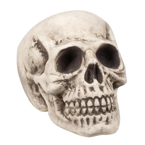 Halloween Schedel 31cm, Hobby en Vrije tijd, Feestartikelen, Nieuw, Verzenden