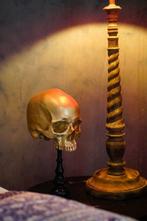 NO RESERVE PRICE - Stunning Replica Of Upper Human Skull on, Antiek en Kunst