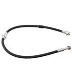 Remslang NISSAN PRIMERA 1.9 dCi achterzijde, rechts, Verzenden, Nieuw