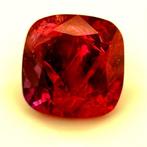 1 pcs Rood Robijn - 2.02 ct - International Gemological, Nieuw