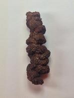 Fossiel fragment - 10.5 cm (Zonder Minimumprijs)