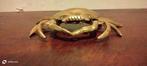 sculptuur, Crabe bronze ciselé - 18 cm - Verguld brons -, Antiek en Kunst