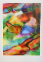 Thomas Ruff (1958), after - Substrat 2 l 2002 - Print - 100, Antiek en Kunst