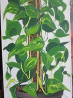 Armand Wachelder - The definition of a plant, Antiek en Kunst, Kunst | Schilderijen | Modern