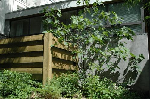 Studio te huur in Maastricht - 45 m² - 1 kamer(s), Huizen en Kamers, Kamers te huur, Maastricht
