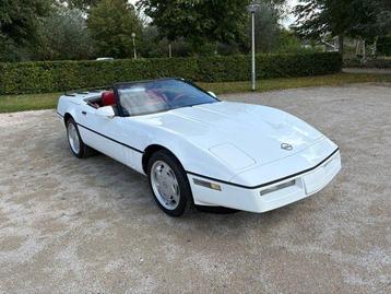Chevrolet - Corvette - 1989 beschikbaar voor biedingen