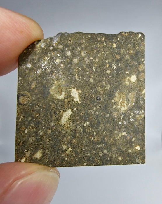 El Atchane 025, koolstofachtig CK3. Met goed gedefinieerde, Verzamelen, Mineralen en Fossielen