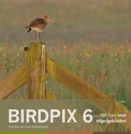 Birdpix 6 - Birdpix 6 Vogels en hun leefgebied 9789079588039, Boeken, Gelezen, Daan Schoonhoven, Verzenden