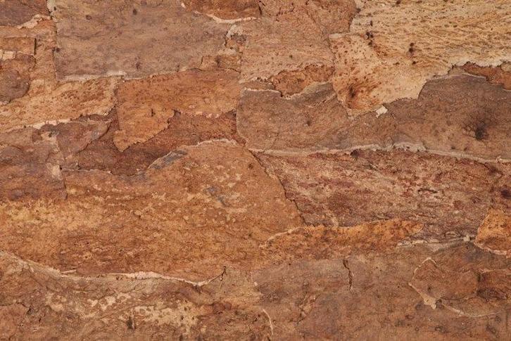 Achterwand terrarium -  Kurkplaat Forest Back - 60x90cm, Doe-het-zelf en Verbouw, Vloerdelen en Plavuizen, Ophalen of Verzenden