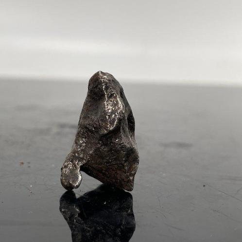 Sikhote-Alin meteoriet Uitstekende kwaliteit, AAA+, Verzamelen, Mineralen en Fossielen