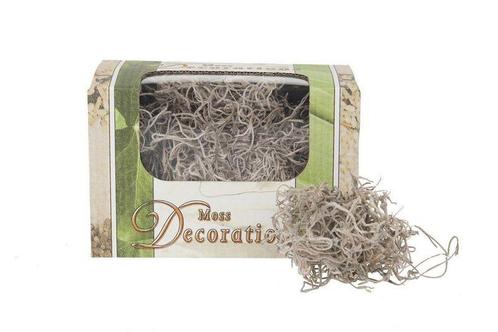 Tillandsia +/-50 gram. Forestmos Tillandsia +/- 50gr, Hobby en Vrije tijd, Knutselen, Nieuw, Ophalen of Verzenden