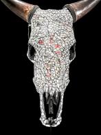 Geen veilingminimum - Indrukwekkende koeienschedel met