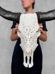 C - Skull Art - Authentieke handgesneden witte buffelschedel