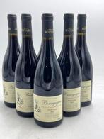 2022 Bourgogne Pinot Noir  - Domaine Moutard - Bourgogne - 6, Verzamelen, Wijnen, Nieuw