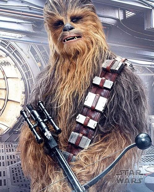 Poster Star Wars the Last Jedi Chewbacca Bowcaster 40x50cm, Verzamelen, Posters, Nieuw, A1 t/m A3, Verzenden