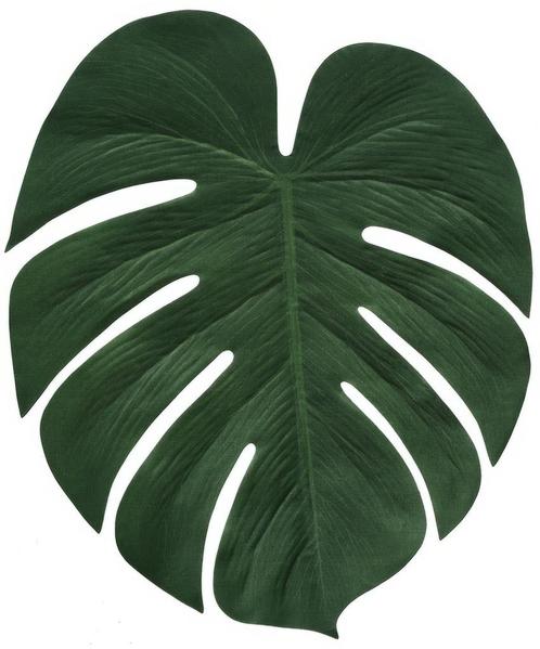 Hawaii Decoratie Palmblad 34cm 4st, Hobby en Vrije tijd, Feestartikelen, Nieuw, Verzenden