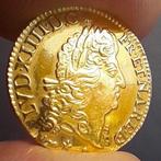 Frankrijk. Louis XIV (1643-1715). Louis dor 1691, Pau. Gold, Postzegels en Munten